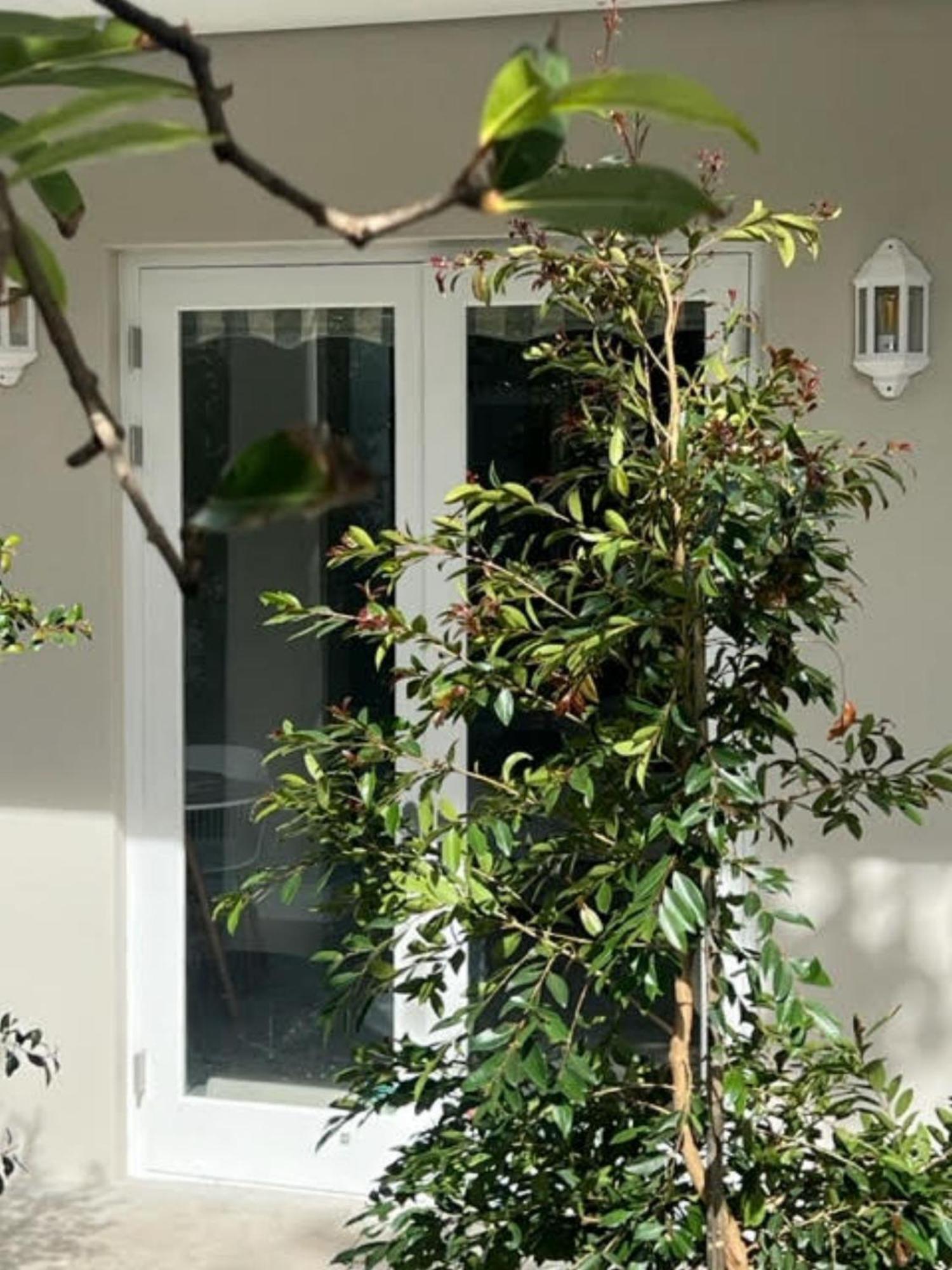 Appartement Two On Milner - Oak Tree - Stylish Open-plan In Rondebosch *